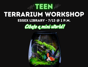 Tiny Worlds – Teen T